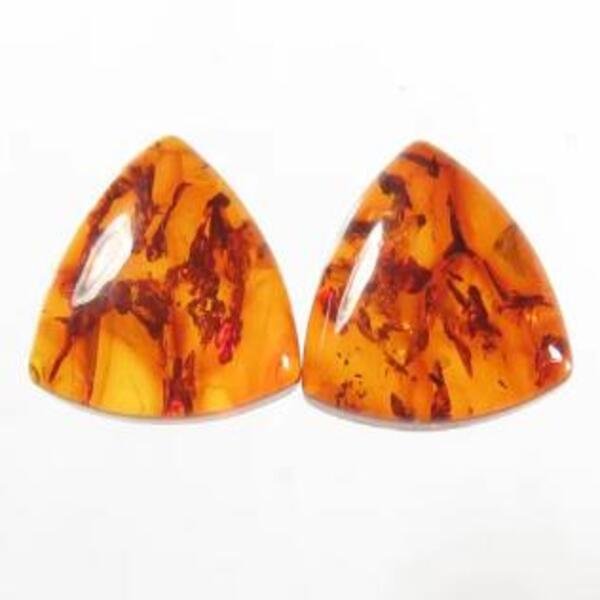 Baltic Amber